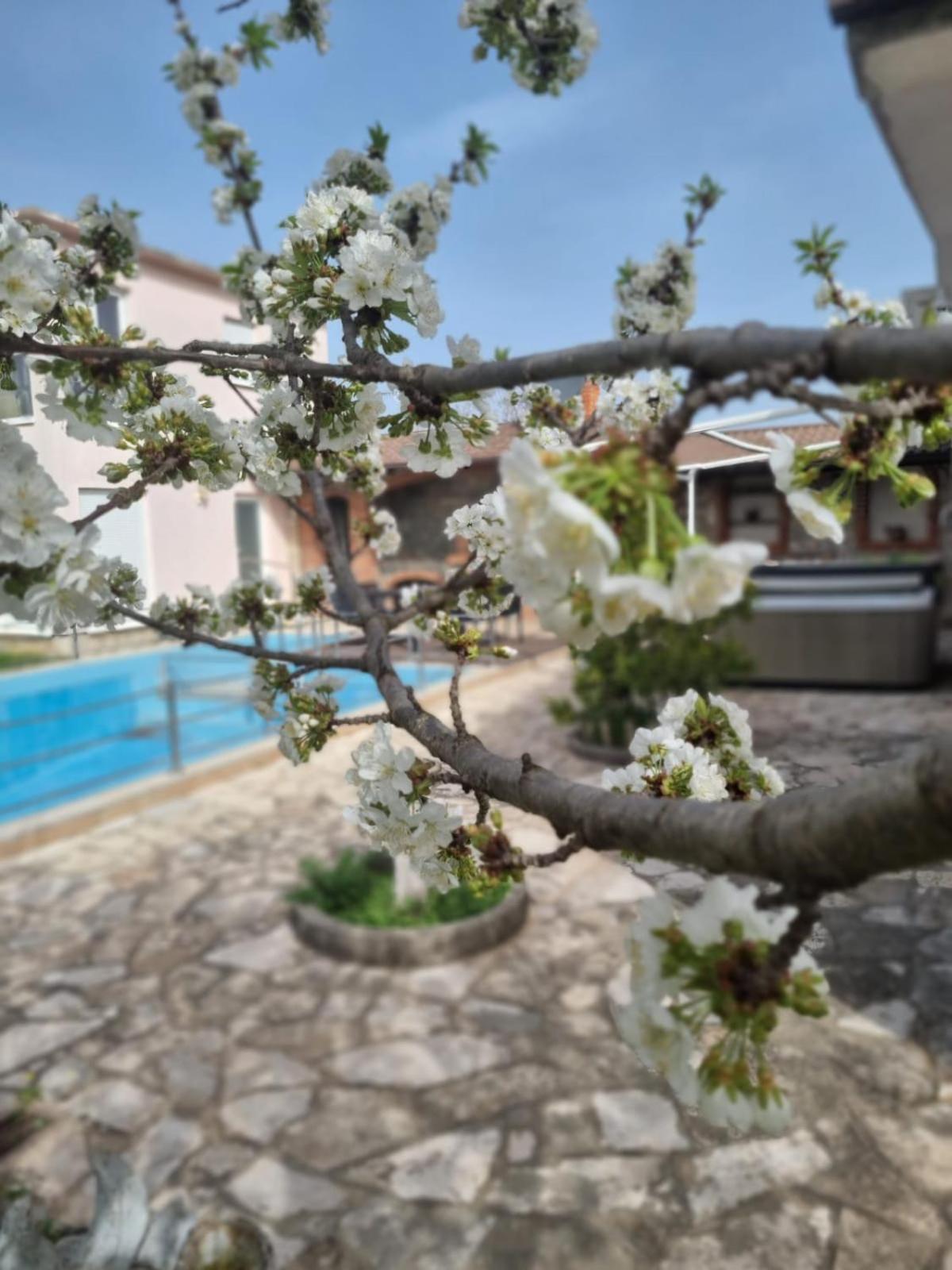 Apartmán Hacienda Kolenda Mostar Exteriér fotografie